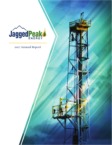 Download the Jagged Peak Energy Annual Report
