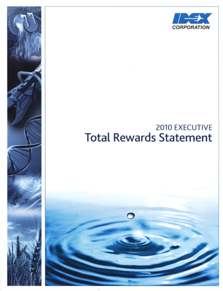 The Idex Corporation 2010 Executive Total Rewards Statement