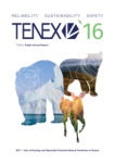 Download the JSC TENEX Integrated Report